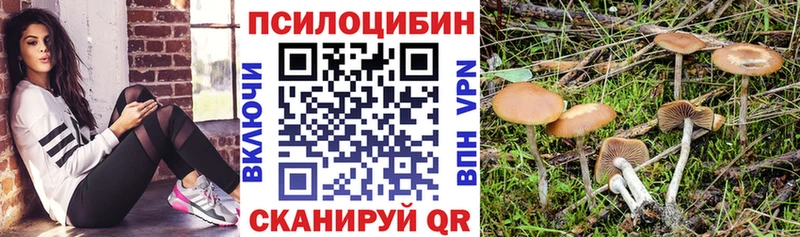 Псилоцибиновые грибы Magic Shrooms  Дубовка 